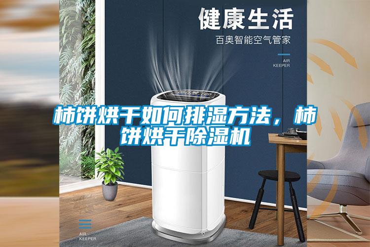柿餅烘干如何排濕方法，柿餅烘干除濕機