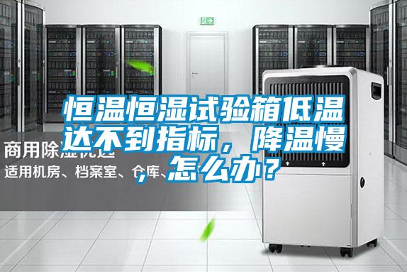 恒溫恒濕試驗箱低溫達不到指標，降溫慢，怎么辦？