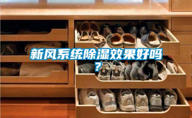 新風系統除濕效果好嗎？