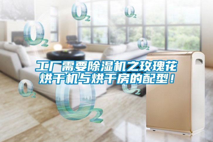 工廠需要除濕機之玫瑰花烘干機與烘干房的配型！