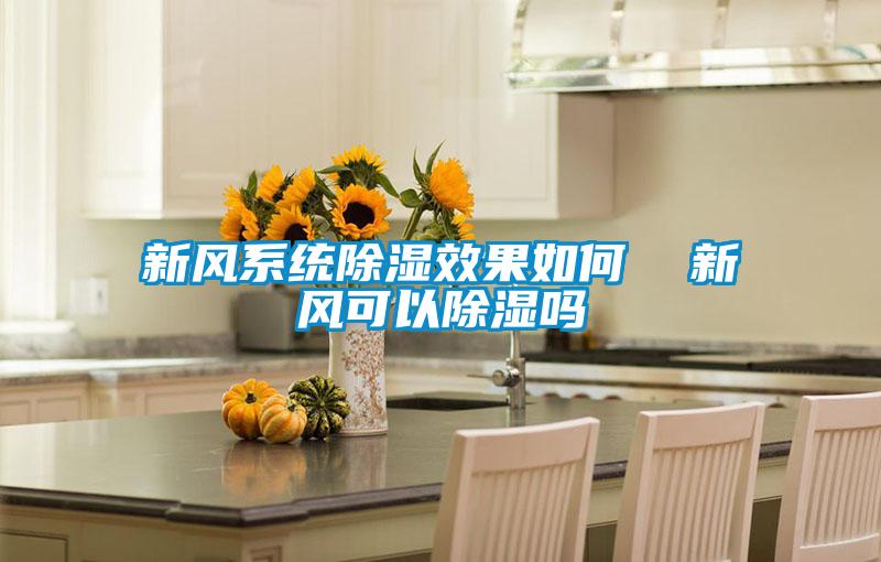 新風系統(tǒng)除濕效果如何  新風可以除濕嗎