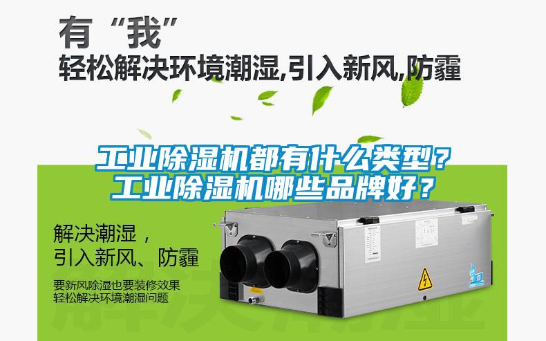 工業(yè)除濕機都有什么類型？工業(yè)除濕機哪些品牌好？