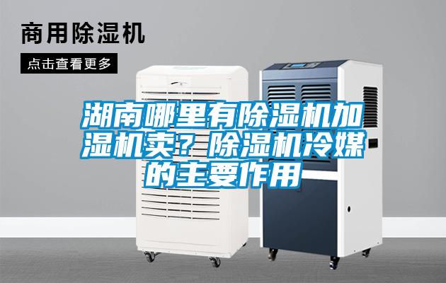 湖南哪里有除濕機加濕機賣？除濕機冷媒的主要作用