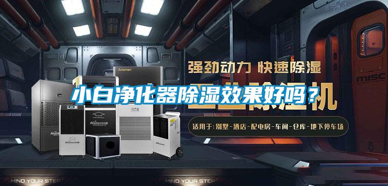 小白凈化器除濕效果好嗎？