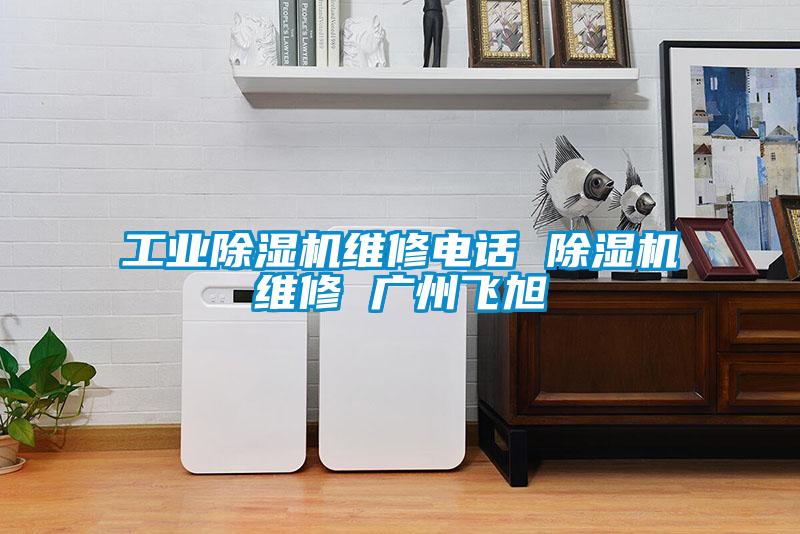 工業(yè)除濕機(jī)維修電話(huà) 除濕機(jī)維修 廣州飛旭