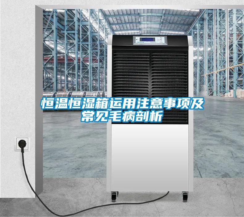 恒溫恒濕箱運(yùn)用注意事項(xiàng)及常見毛病剖析