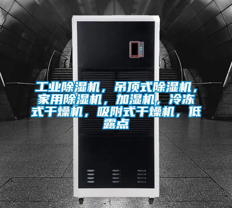 工業除濕機，吊頂式除濕機，家用除濕機，加濕機，冷凍式干燥機，吸附式干燥機，低露點