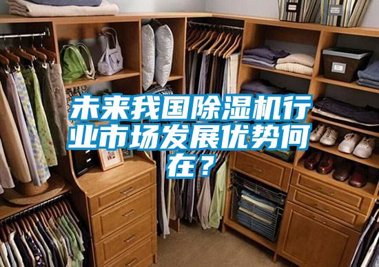 未來我國除濕機行業市場發展優勢何在？