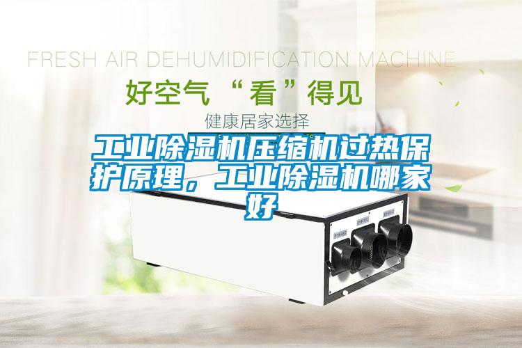 工業除濕機壓縮機過熱保護原理，工業除濕機哪家好