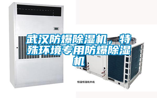 武漢防爆除濕機，特殊環境專用防爆除濕機