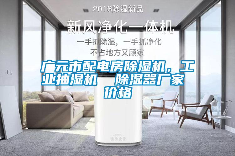 廣元市配電房除濕機(jī)，工業(yè)抽濕機(jī)  除濕器廠家 價(jià)格