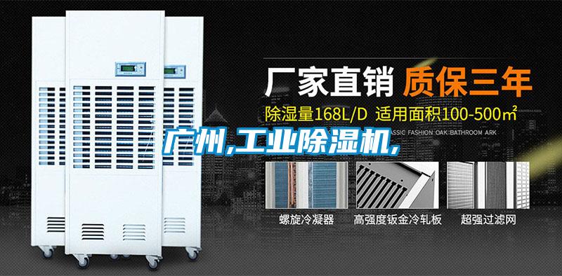 廣州,工業(yè)除濕機,