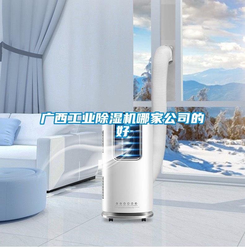 廣西工業除濕機哪家公司的好