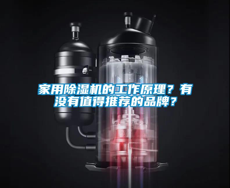 家用除濕機(jī)的工作原理？有沒有值得推薦的品牌？