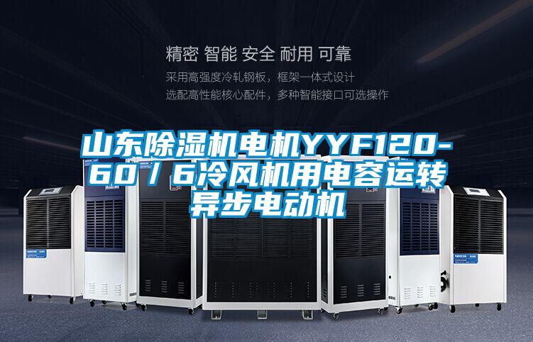 山東除濕機電機YYF120-60／6冷風(fēng)機用電容運轉(zhuǎn)異步電動機