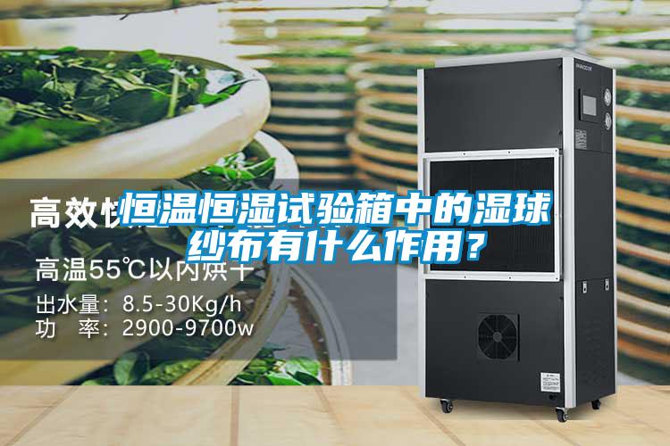 恒溫恒濕試驗箱中的濕球紗布有什么作用？