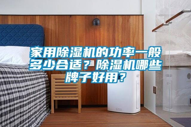 家用除濕機的功率一般多少合適？除濕機哪些牌子好用？