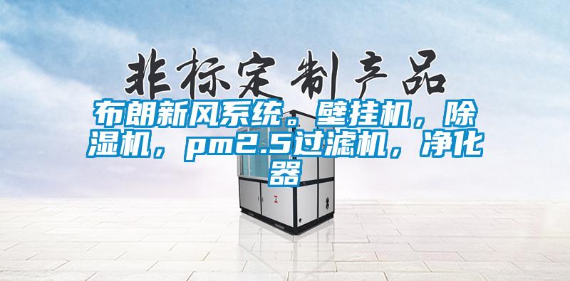 布朗新風(fēng)系統(tǒng)。壁掛機(jī)，除濕機(jī)，pm2.5過濾機(jī)，凈化器