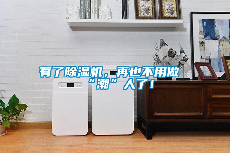 有了除濕機，再也不用做“潮”人了！