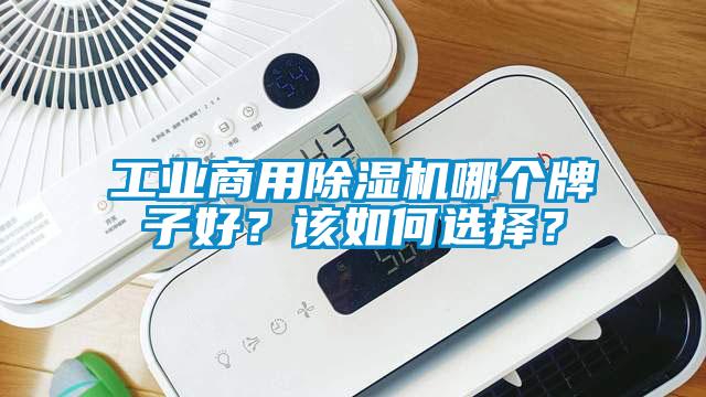 工業(yè)商用除濕機(jī)哪個(gè)牌子好？該如何選擇？