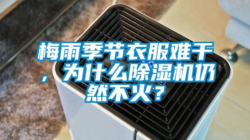梅雨季節(jié)衣服難干，為什么除濕機仍然不火？