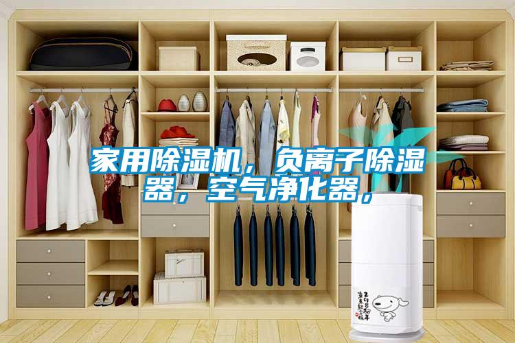 家用除濕機，負離子除濕器，空氣凈化器，