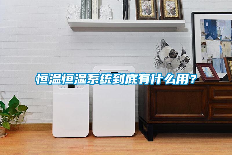 恒溫恒濕系統到底有什么用？