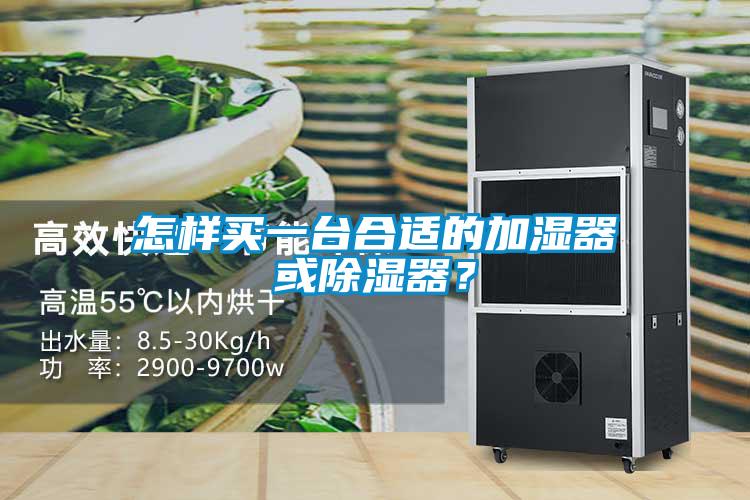 怎樣買一臺合適的加濕器或除濕器？