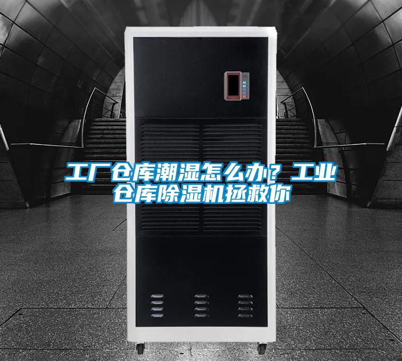 工廠倉庫潮濕怎么辦？工業倉庫除濕機拯救你