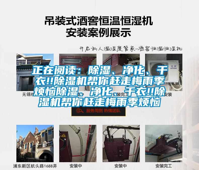 正在閱讀：除濕、凈化、干衣!!除濕機幫你趕走梅雨季煩惱除濕、凈化、干衣!!除濕機幫你趕走梅雨季煩惱