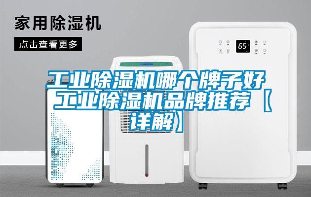工業(yè)除濕機哪個牌子好 工業(yè)除濕機品牌推薦【詳解】