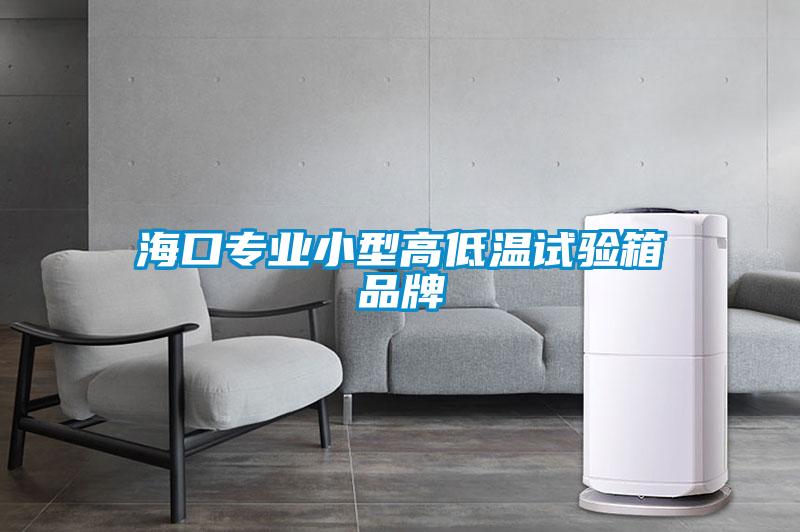 ?？趯I小型高低溫試驗箱品牌