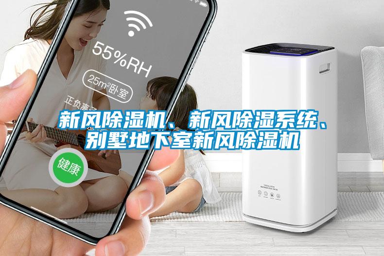新風(fēng)除濕機、新風(fēng)除濕系統(tǒng)、別墅地下室新風(fēng)除濕機