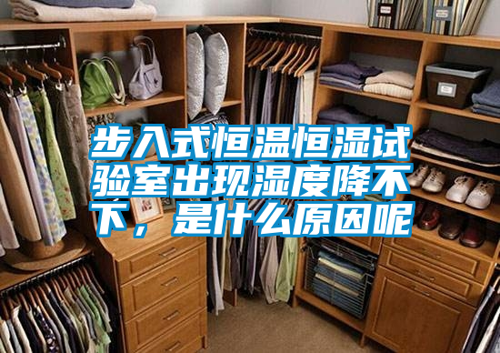 步入式恒溫恒濕試驗室出現濕度降不下，是什么原因呢