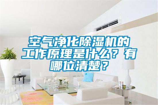 空氣凈化除濕機的工作原理是什么？有哪位清楚？