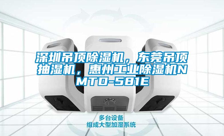 深圳吊頂除濕機(jī)，東莞吊頂抽濕機(jī)，惠州工業(yè)除濕機(jī)NMTD-581E