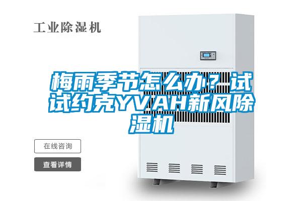 梅雨季節怎么辦？試試約克YVAH新風除濕機