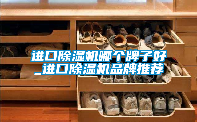 進(jìn)口除濕機(jī)哪個(gè)牌子好_進(jìn)口除濕機(jī)品牌推薦