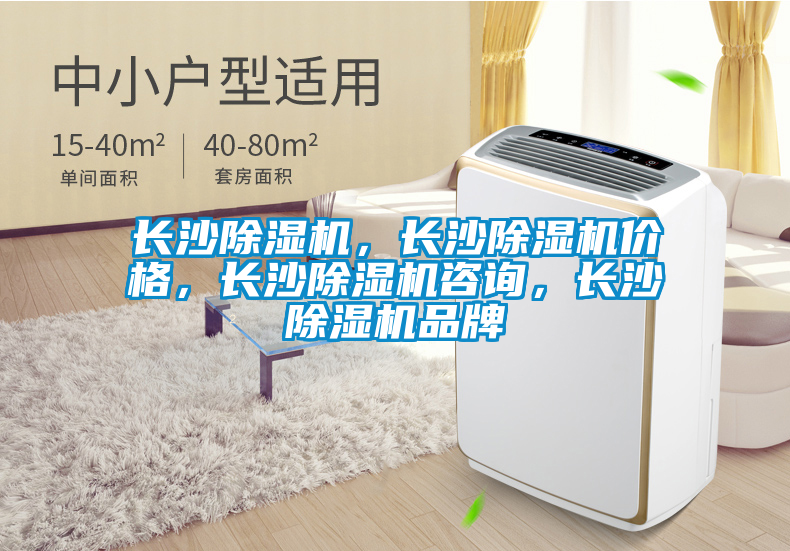 長(zhǎng)沙除濕機(jī)，長(zhǎng)沙除濕機(jī)價(jià)格，長(zhǎng)沙除濕機(jī)咨詢，長(zhǎng)沙除濕機(jī)品牌