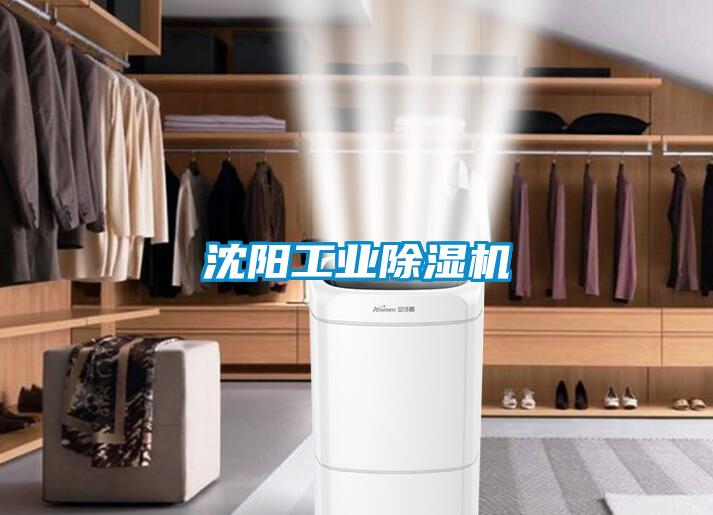 沈陽工業(yè)除濕機(jī)