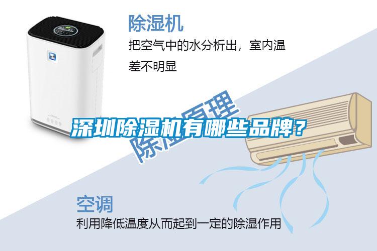 深圳除濕機有哪些品牌？