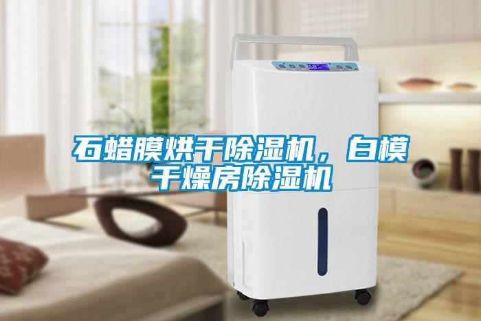 石蠟膜烘干除濕機，白模干燥房除濕機