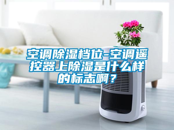 空調除濕檔位-空調遙控器上除濕是什么樣的標志??？
