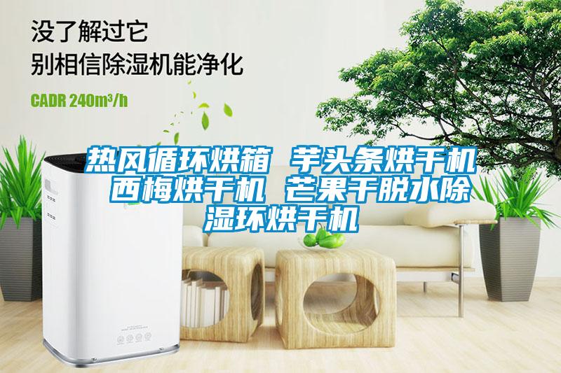 熱風(fēng)循環(huán)烘箱 芋頭條烘干機 西梅烘干機 芒果干脫水除濕環(huán)烘干機