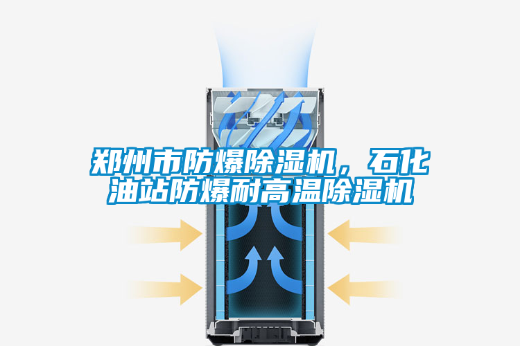 鄭州市防爆除濕機(jī)，石化油站防爆耐高溫除濕機(jī)