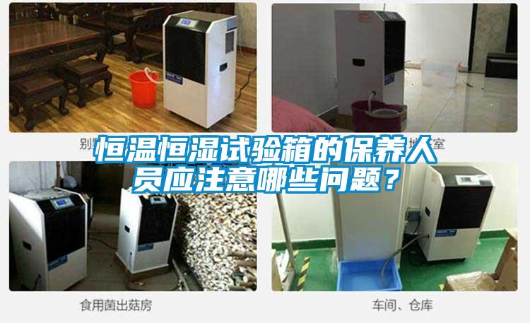 恒溫恒濕試驗(yàn)箱的保養(yǎng)人員應(yīng)注意哪些問(wèn)題？