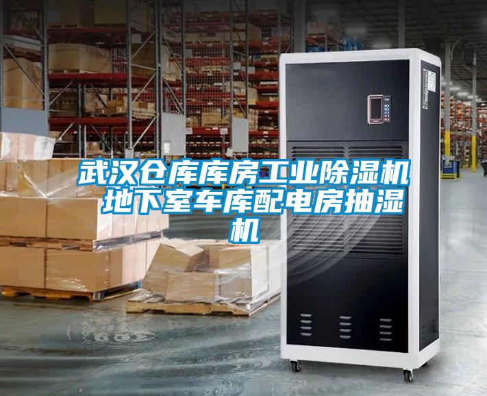 武漢倉(cāng)庫(kù)庫(kù)房工業(yè)除濕機(jī) 地下室車(chē)庫(kù)配電房抽濕機(jī)