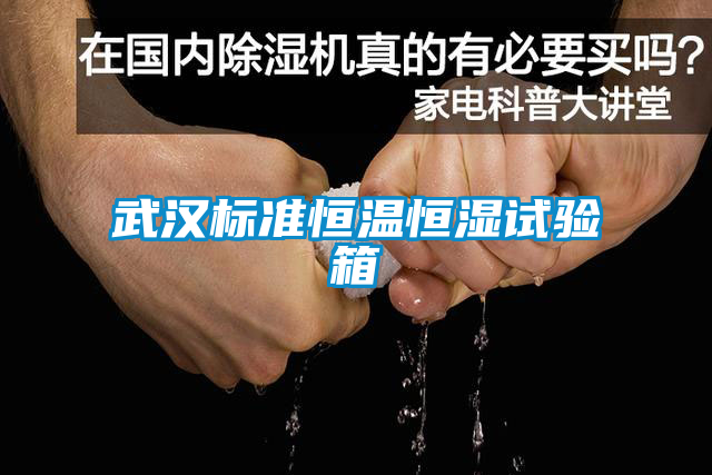 武漢標(biāo)準(zhǔn)恒溫恒濕試驗箱