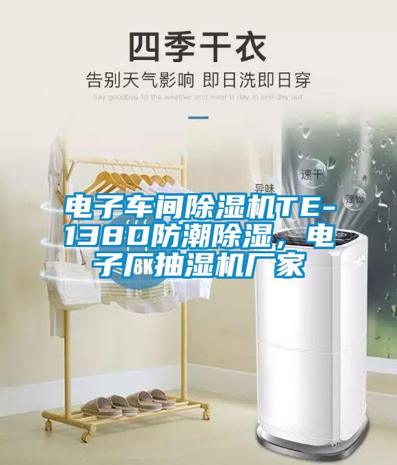 電子車(chē)間除濕機(jī)TE-138D防潮除濕，電子廠抽濕機(jī)廠家
