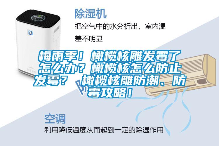 梅雨季！橄欖核雕發(fā)霉了怎么辦？橄欖核怎么防止發(fā)霉？ 橄欖核雕防潮、防霉攻略！